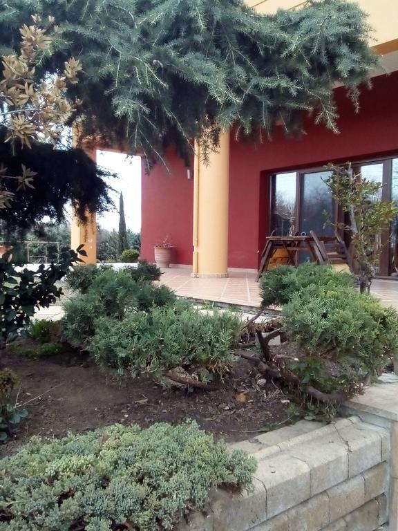 Petrinos Lofos Otel Mándra Dış mekan fotoğraf