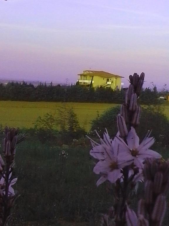 Petrinos Lofos Otel Mándra Dış mekan fotoğraf